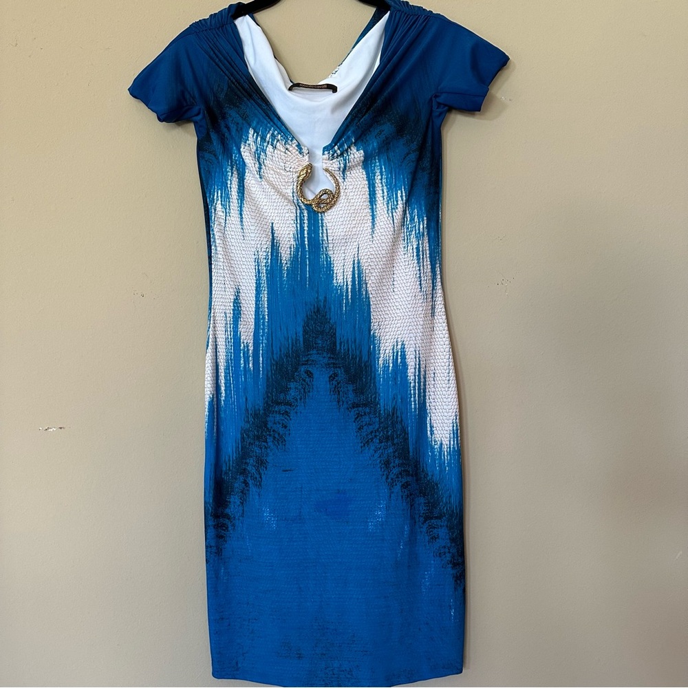 Roberto Cavalli Dress